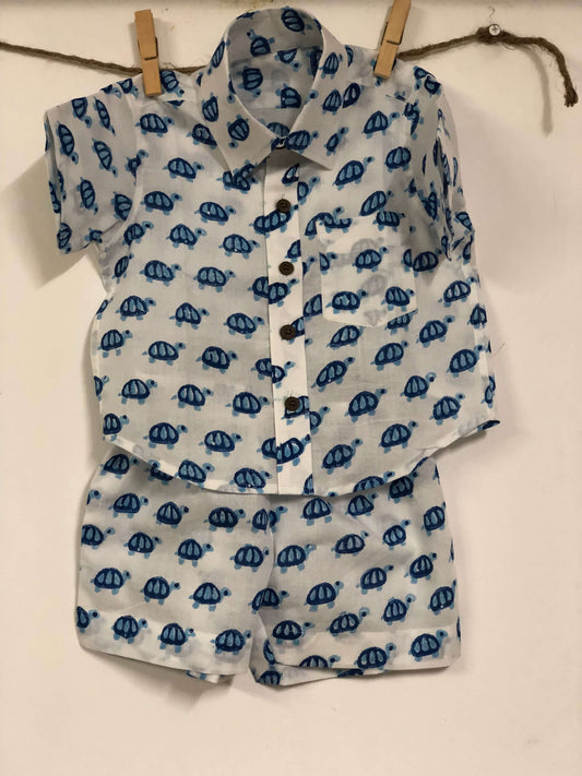 Tortoise Set