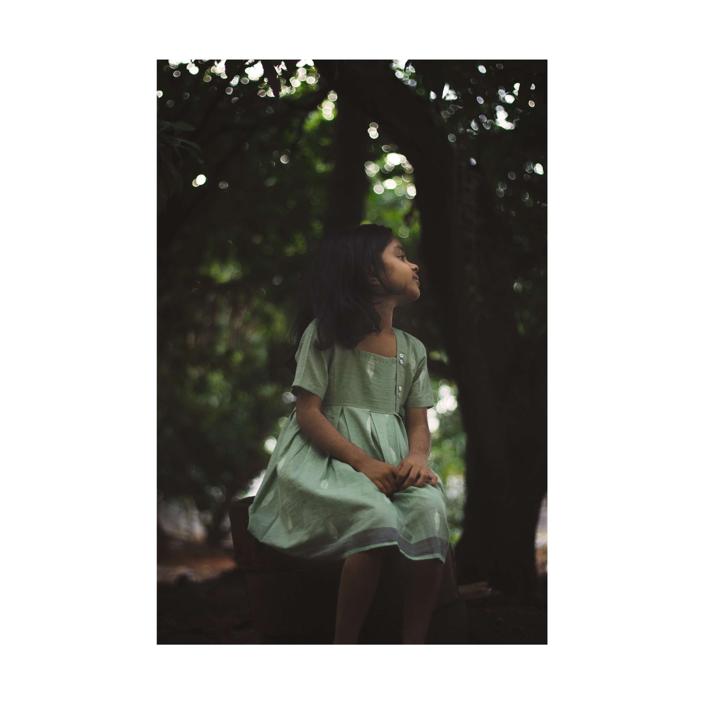 Green Jamdani Dress